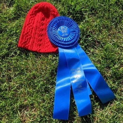image of blue ribbon winter cap