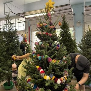 People decorate a Christmas tree with pompoms and knit ornaments.